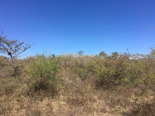 Terreno Comercial en Renta en Jutiapa, Guatemala - 4