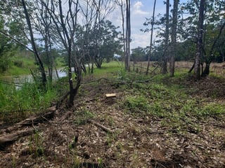 VENTA 2 Manzanas orilla lago de Izabal Livingston - 3