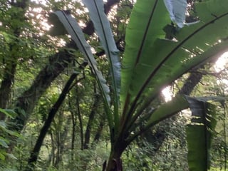 Terreno en Venta en Aldea El Hato Antigua Guatemala, Sacatepequez - 2