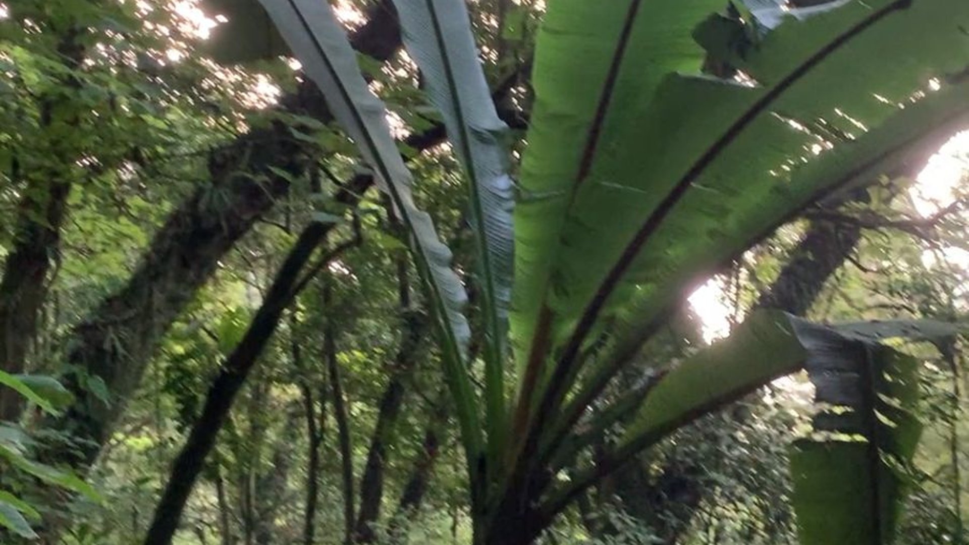 Terreno en Venta en Aldea El Hato Antigua Guatemala, Sacatepequez - Miniatura 2
