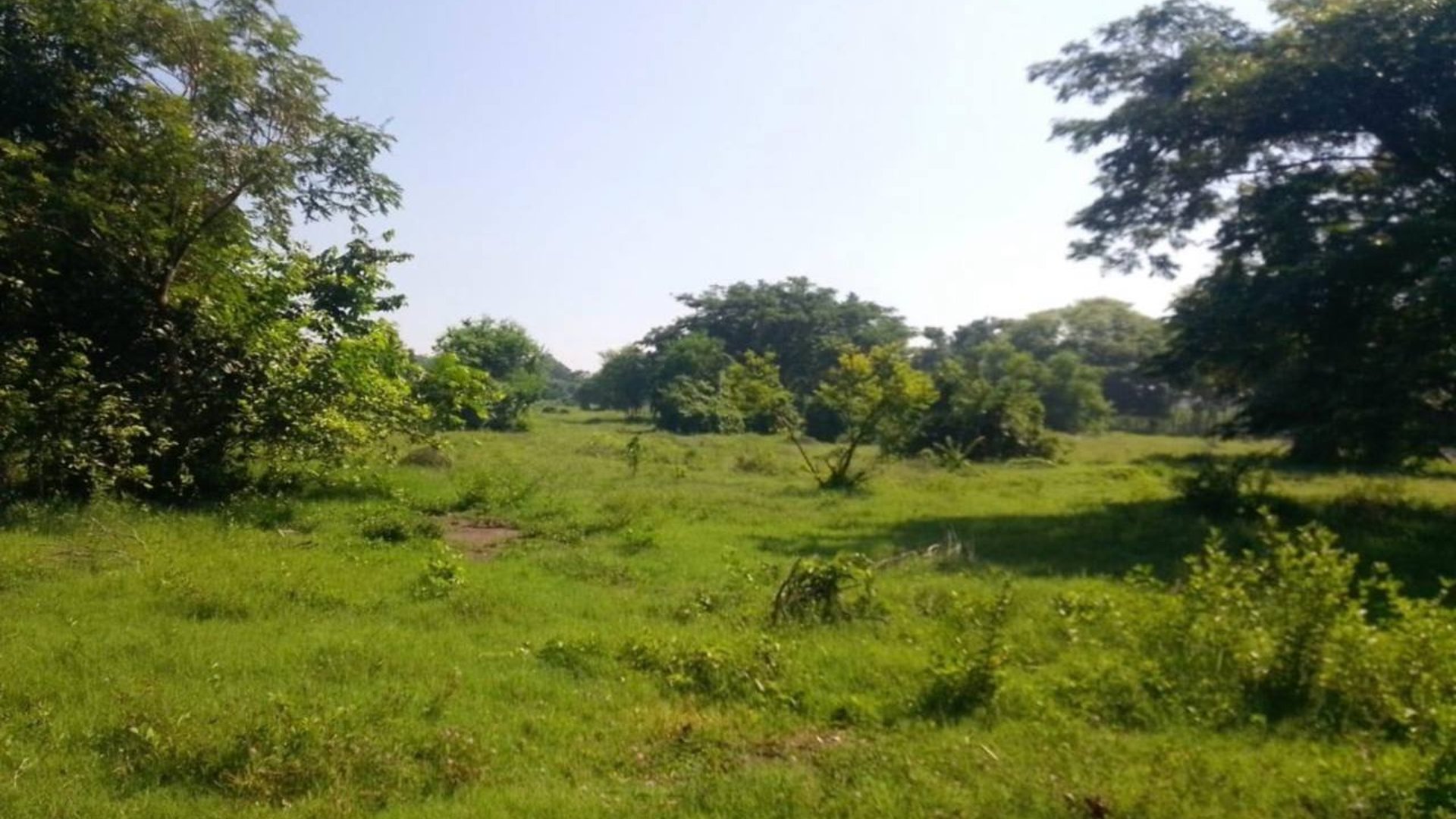 19 Manzanas en venta en Carretera Vieja al Puerto San Jose - Miniatura 2
