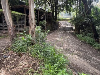 Renta de terreno km17.5 a un costado de Santa Clara V.N - Image 5