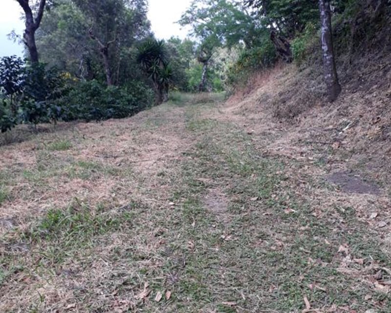 Vendo Finca para Café y Aguacate en Acatenango Chimaltenango 