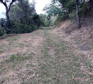 Vendo Finca para Café y Aguacate en Acatenango Chimaltenango 