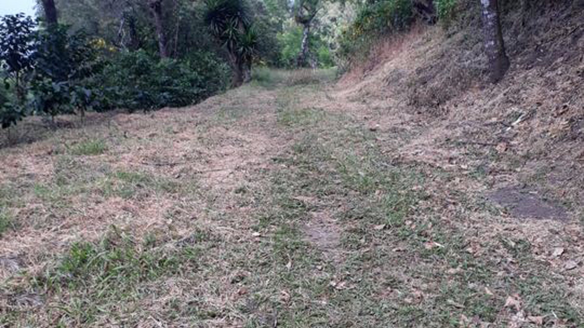 Vendo Finca para Café y Aguacate en Acatenango Chimaltenango  - Image 1