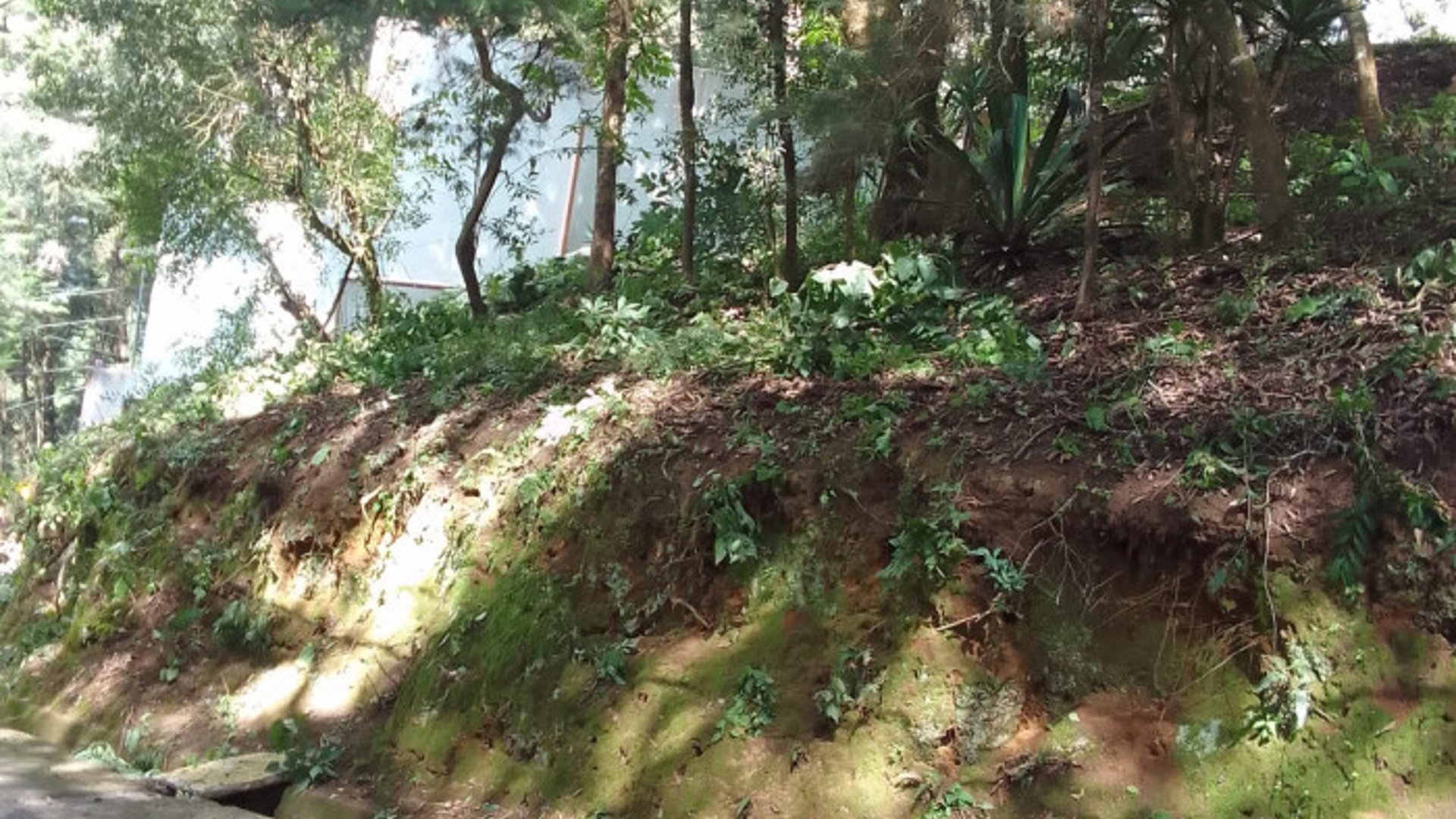 Terreno en Venta en Santa Lucia Milpas Altas - Miniatura 4