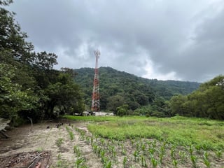 VENTA Terreno Los Sauces Km.37 Palín Escuintla - 2