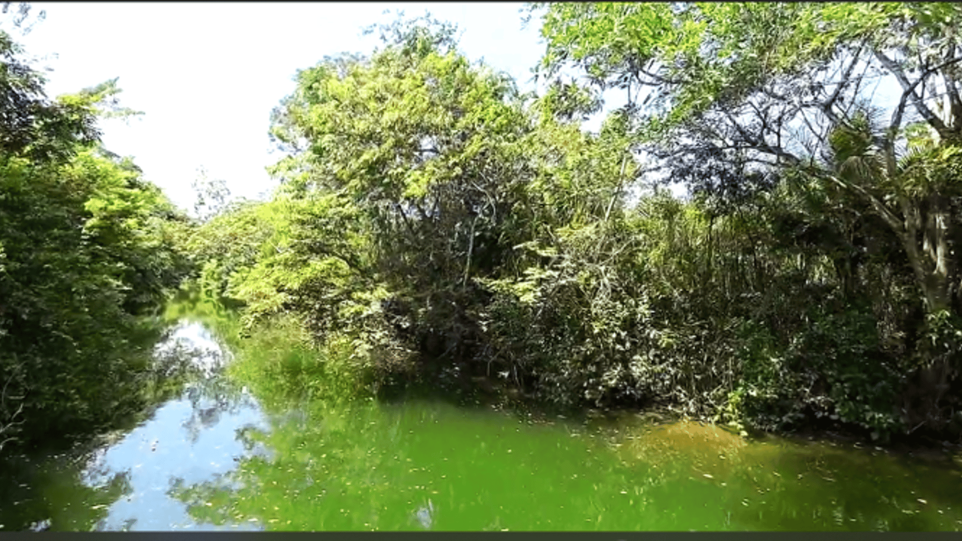 TERRENO EN VENTA EN RIO DULCE - Miniatura 5
