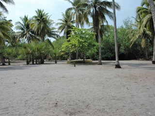 Land for Sale in Tulate, Guatemala - 7185 m² - $199,000 - Image 2