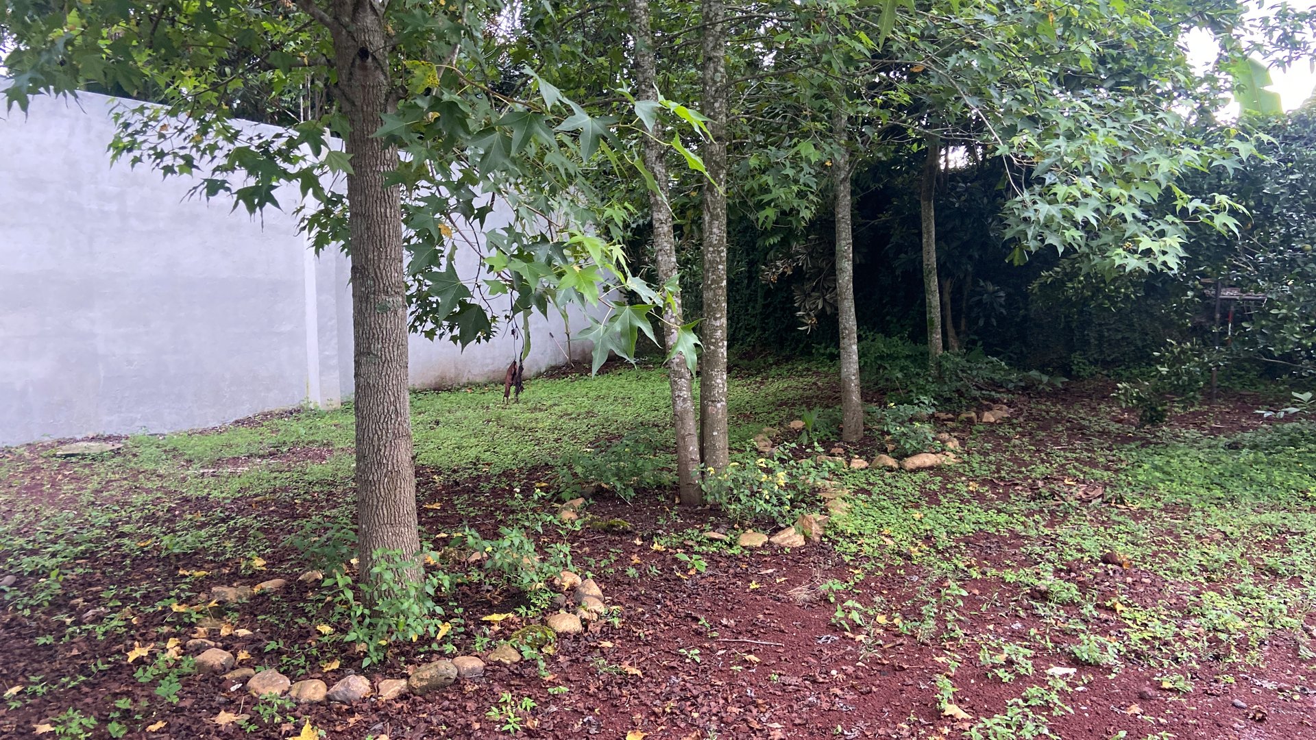 TERRENO CON LOCAL COMERCIAL EN VENTA EN EL CERINAL, BARBERENA - Miniatura 14