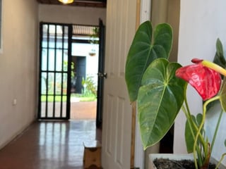 Casa Amueblada en Renta Antigua Guatemala, Sacatepéquez - Image 14