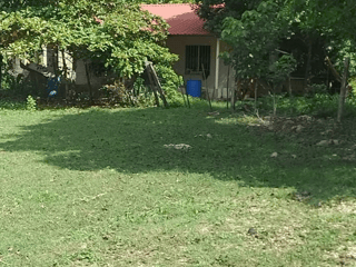 Finca en Venta en La Libertad, Petén - 2