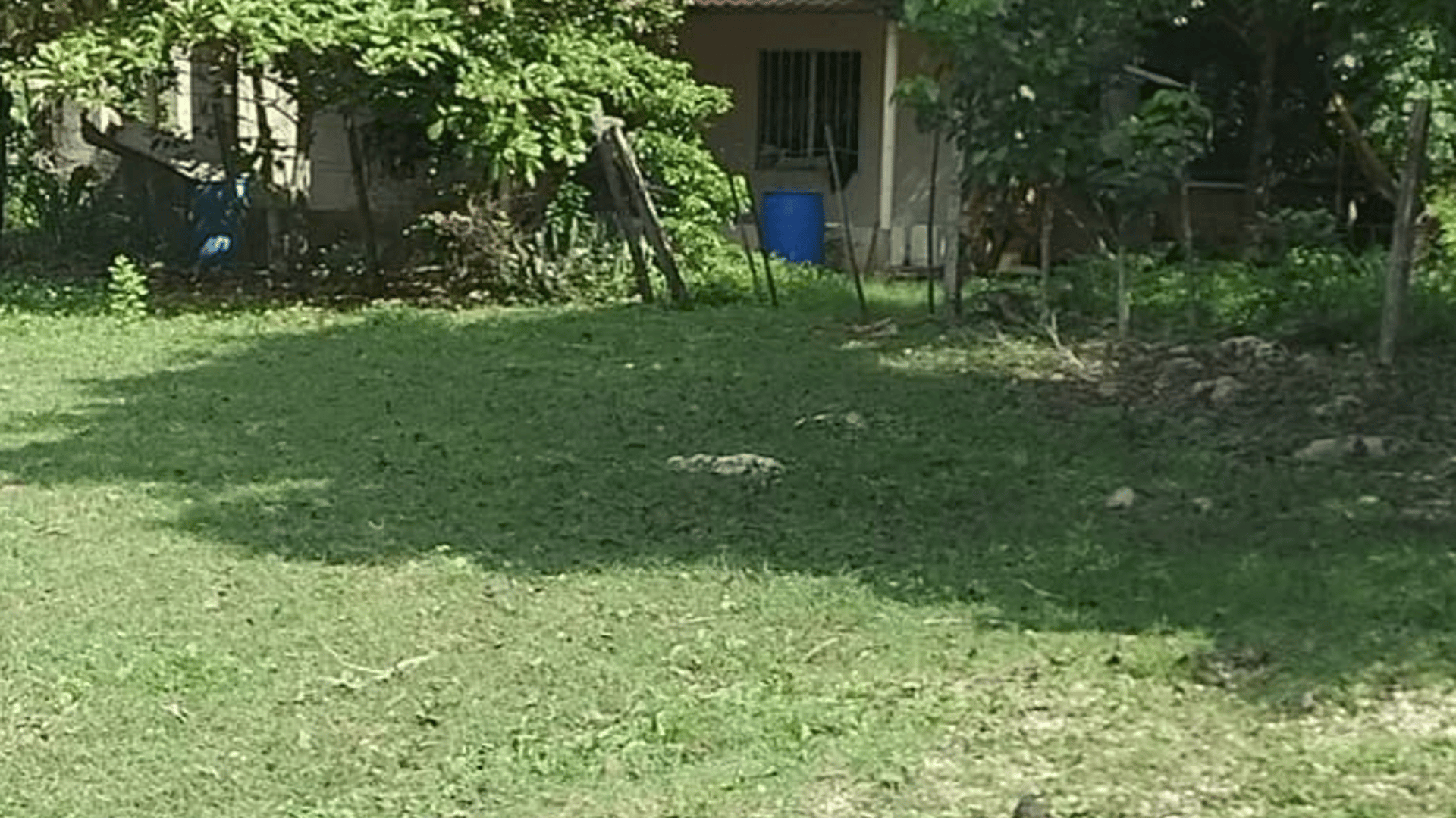 Finca en Venta en La Libertad, Petén - Miniatura 2