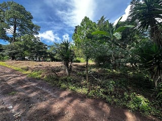 TERRENO EN VENTA EN E ENCINAL ZONA 7 DE MIXCO - 3