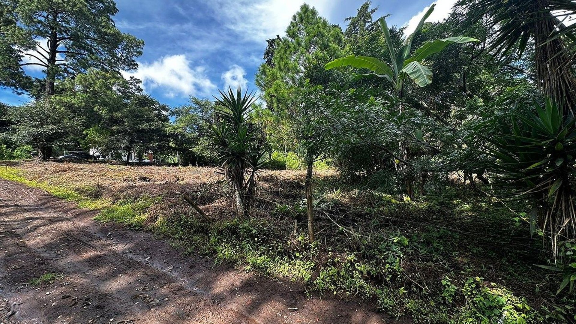 TERRENO EN VENTA EN E ENCINAL ZONA 7 DE MIXCO - Miniatura 3