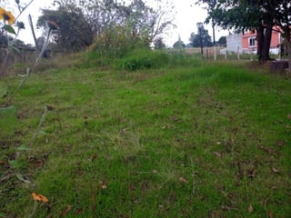 Terreno Comercial en Renta Quiché, Guatemala - 2