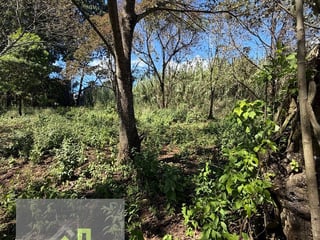 Terreno en Venta sobre Carretera a El Salvador – Km 26.5 - 2