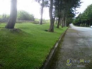 Terreno en Venta en Carretera Salvador km. 22.5 - 2