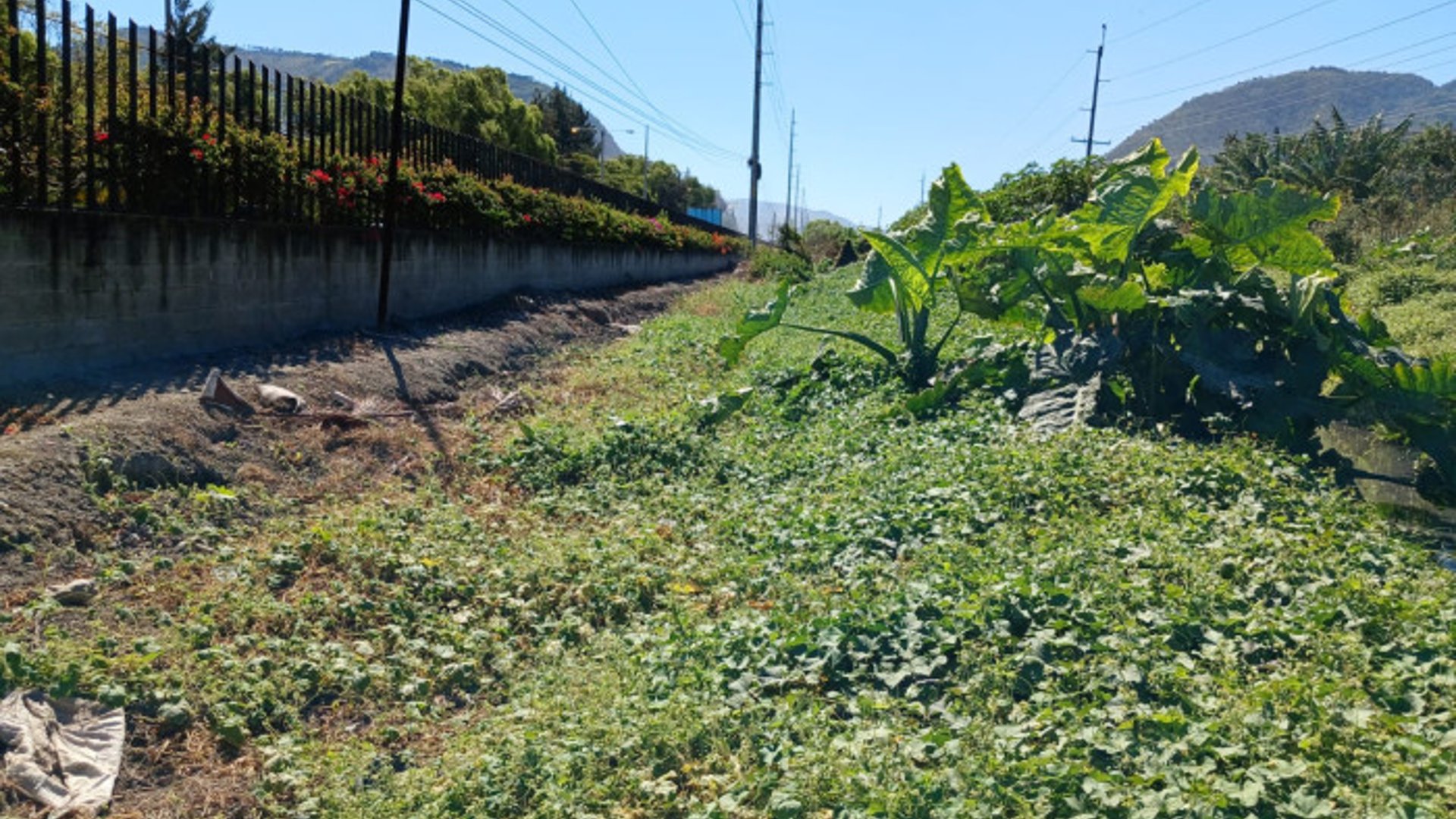Terreno en Venta en Amatitlán