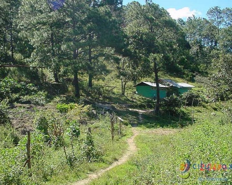 Vendo Finca Rustica en San Pedro Ayampuc