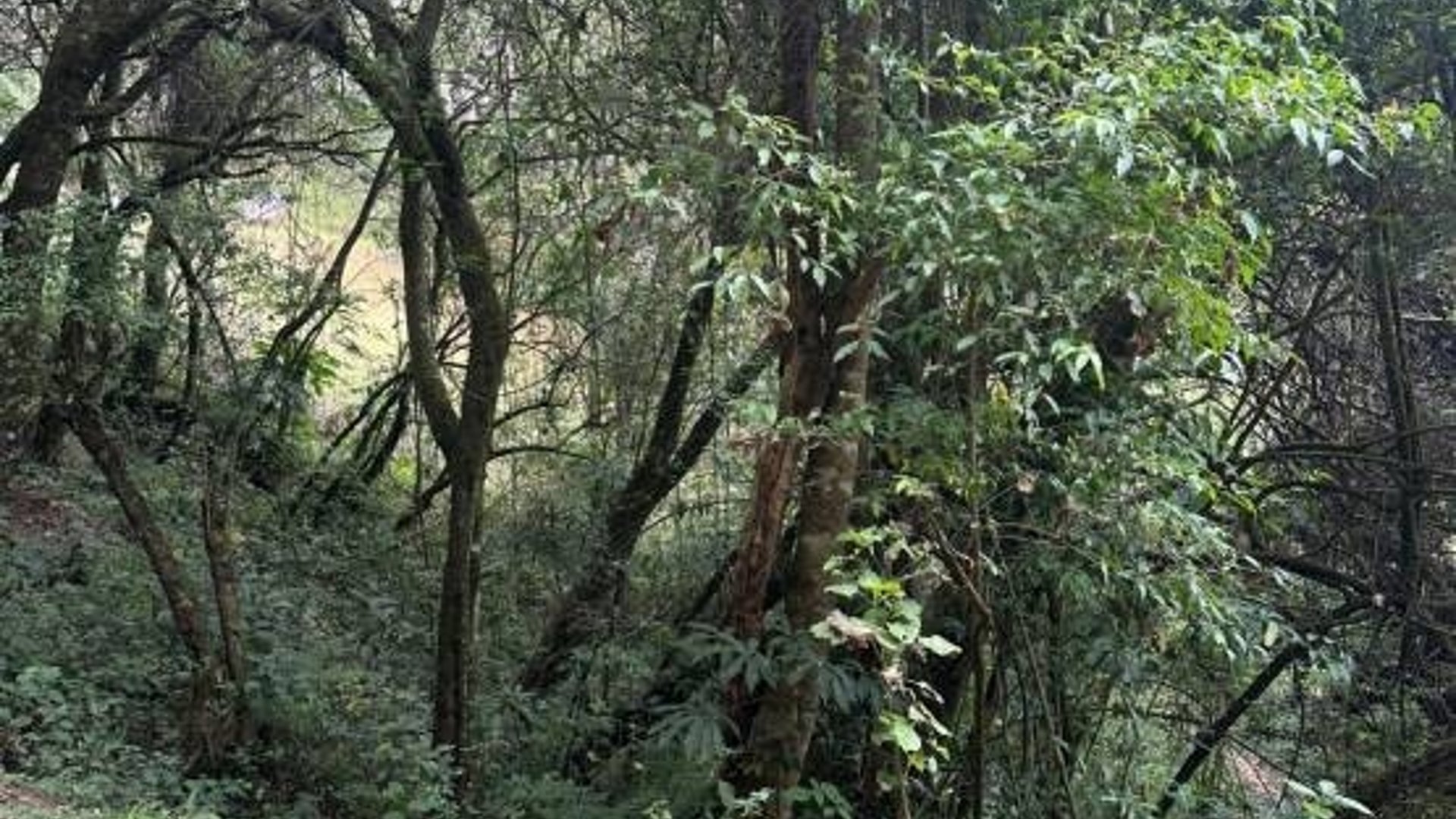 Terreno en Venta, Mixco (V9991) - Miniatura 6