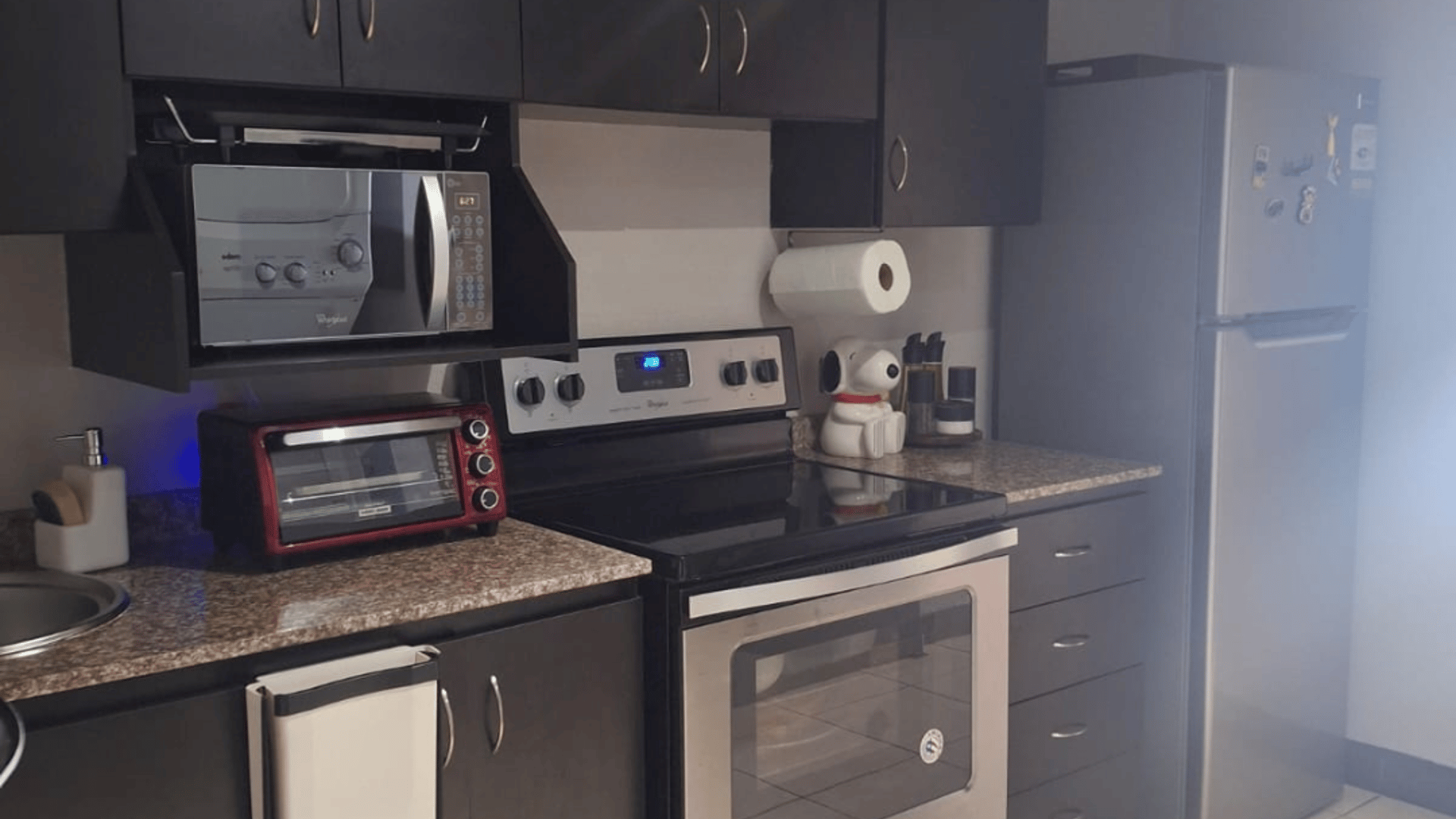 APARTAMENTO EN VENTA ZONA 16 - Miniatura 3