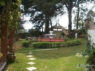 Se Vende Granja en Parramos, 2 manzanas de terreno. - 2