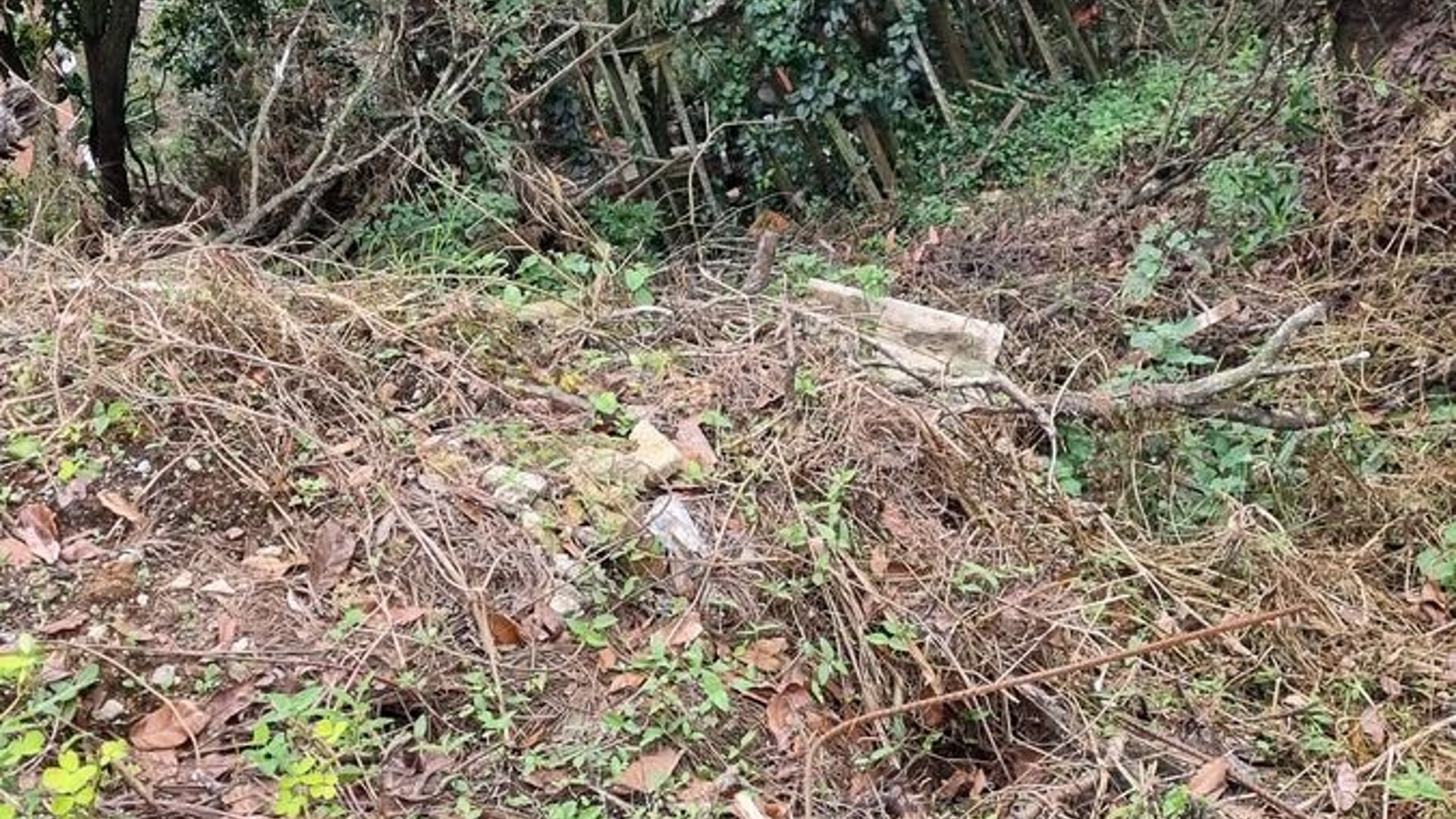 TERRENO EN VENTA EN LA MONTAÑA ZONA 16 - Miniatura 5