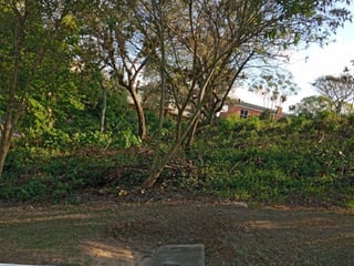 Terreno en VENTA en Condominio Sausalito - 4