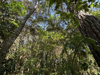 EL ENCINAL / Terreno en venta - 4