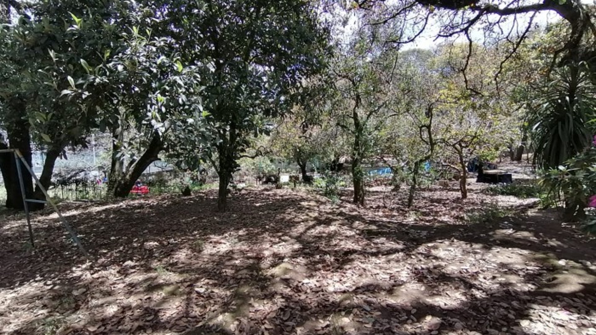 Finca en venta en San Lucas Sacatepéquez - Miniatura 10