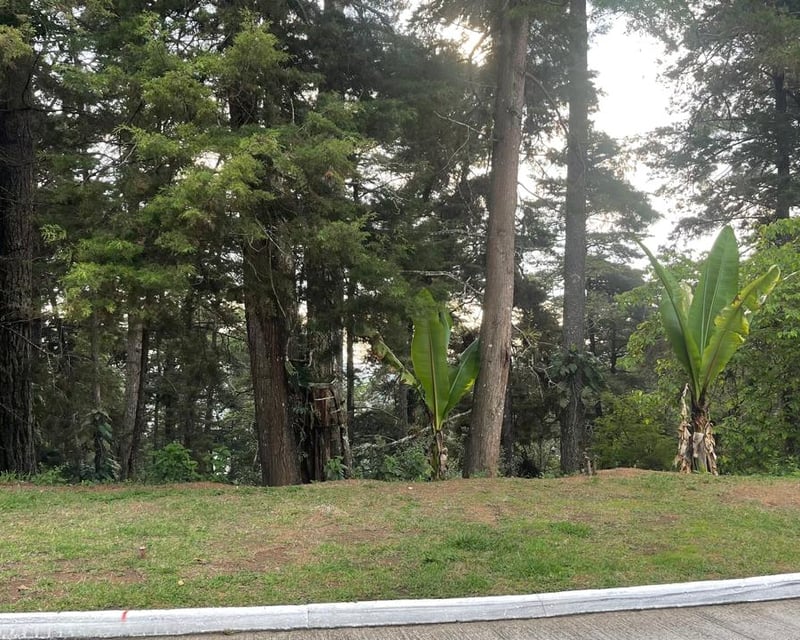 Terreno en venta, Lomas del Bosque carretera a El Salvador