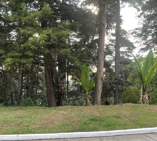 Terreno en venta, Lomas del Bosque carretera a El Salvador