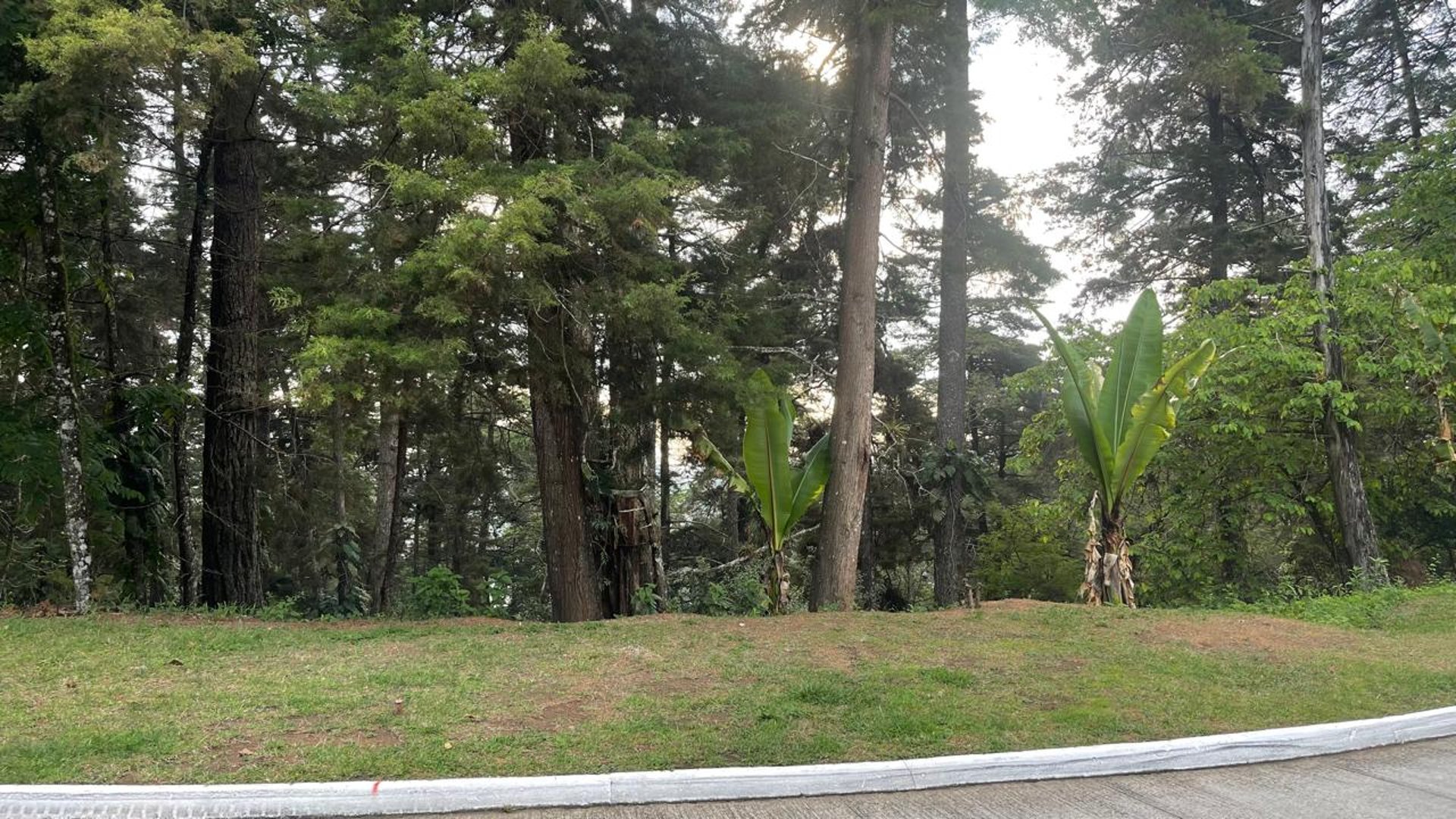 Terreno en venta, Lomas del Bosque carretera a El Salvador