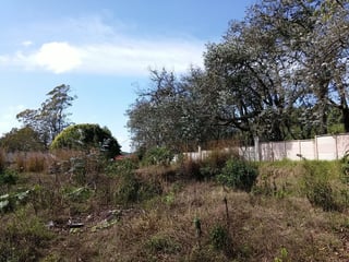 Vendo Terreno en Bosques del Eden - 4