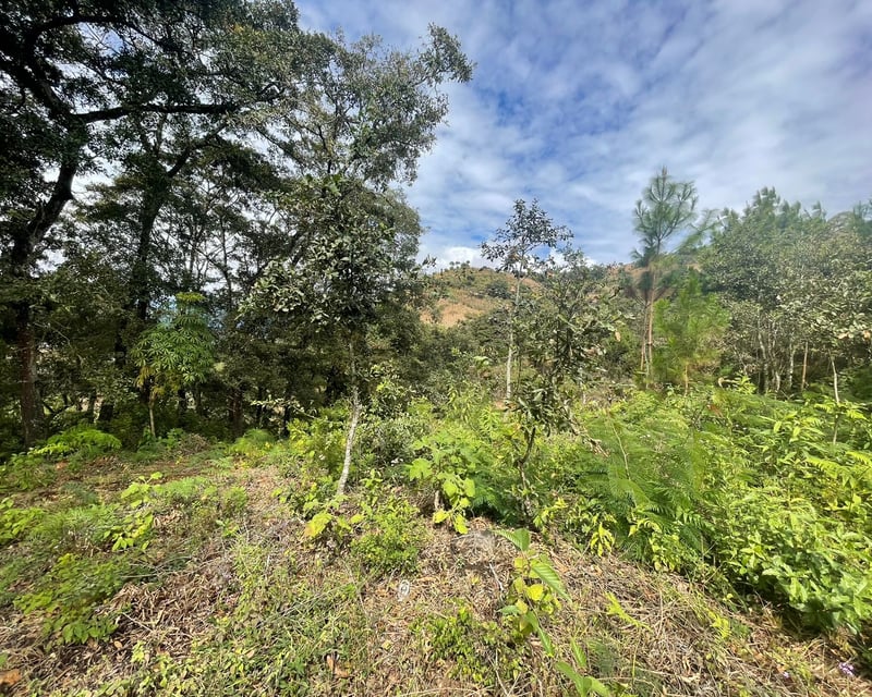 FINCA EN ALDEA LAS FLORES SUMPANGO SACATEPEQUEZ