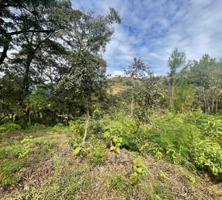 FINCA EN ALDEA LAS FLORES SUMPANGO SACATEPEQUEZ