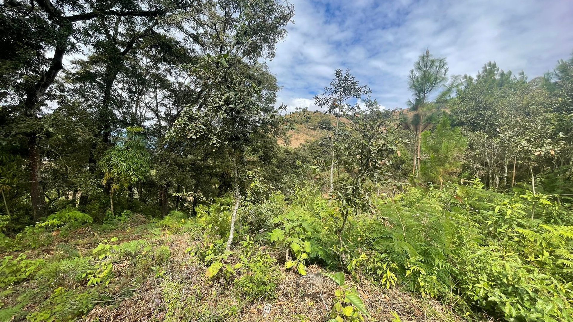 FINCA EN ALDEA LAS FLORES SUMPANGO SACATEPEQUEZ