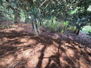 Lote en Venta Carretera a El Salvador Res. San Antonio - 4