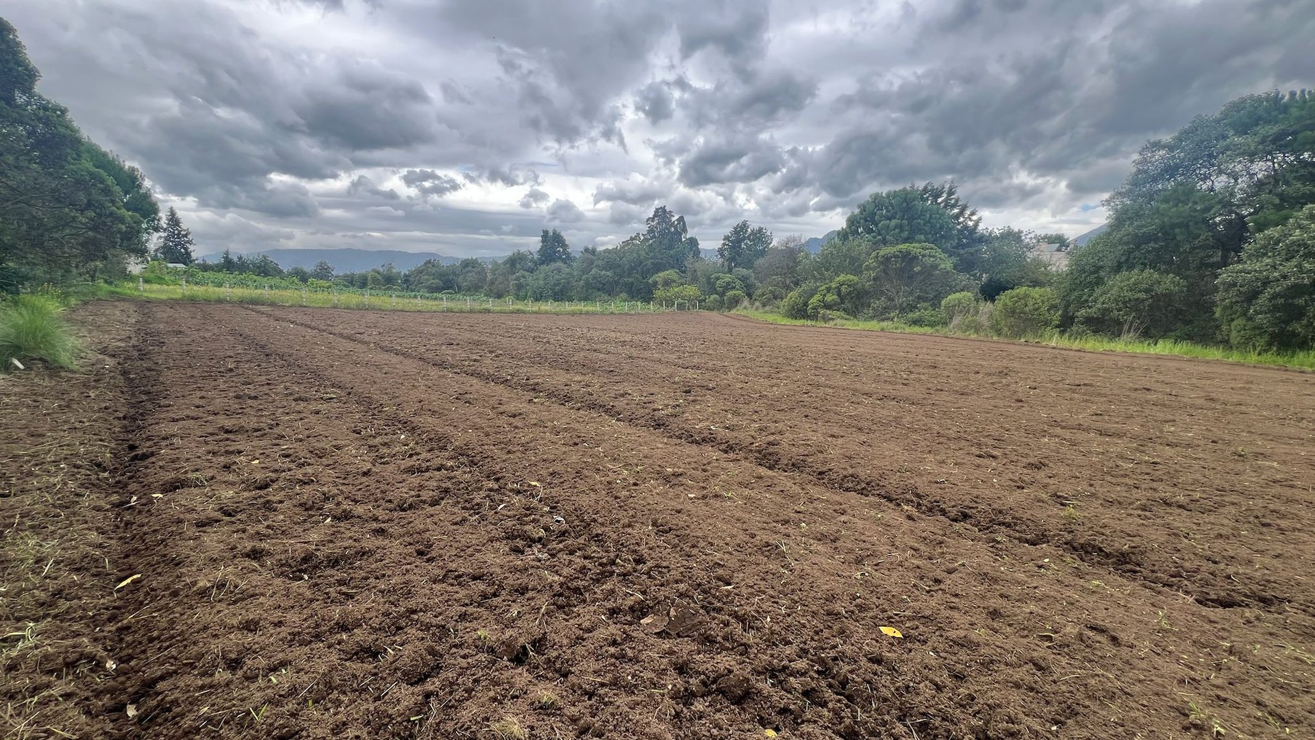Finca en Venta de 8 Cuerdas en Quetzaltenango