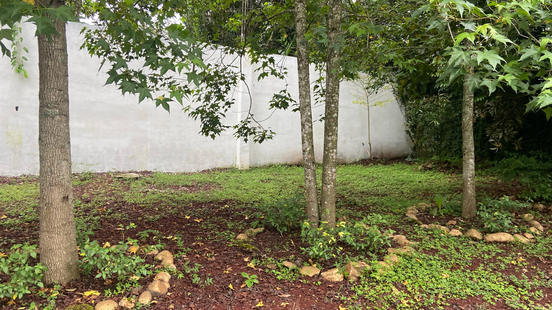 TERRENO CON LOCAL COMERCIAL EN VENTA EN EL CERINAL, BARBERENA - Miniatura 13