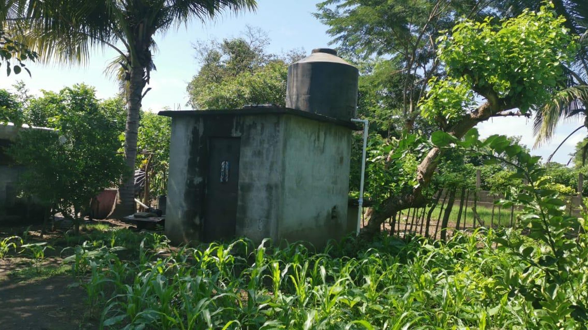 Terreno en Venta Km. 81 Masagua, antigua carretera a Puerto Quetzal - Miniatura 7