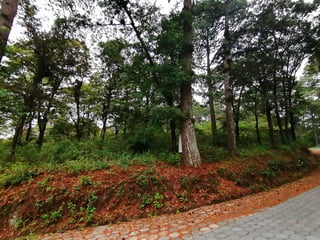 Vendo Terreno, Bosque Exclusivo | Labor de Castilla 1 - 2