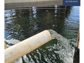 Large Land for Sale in Parcelamiento Santa Rosa, Milpas Altas, Guatemala - 13,800 m² - Agricultural & Commercial Development - $510,000 - Image 5