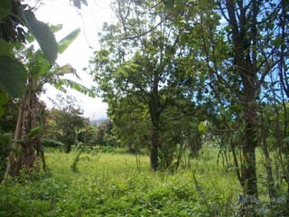 Terreno en venta a pocos minutos del centro de Antigua - 2
