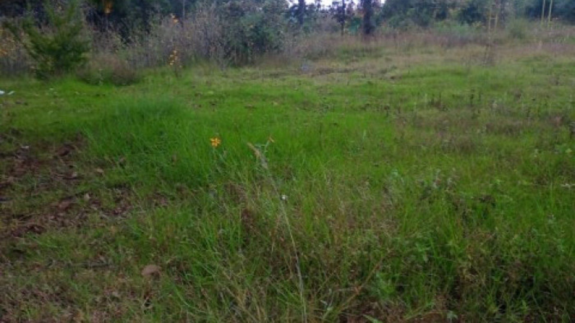 Terreno Comercial en Renta Quiché, Guatemala - Miniatura 4