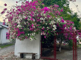 CASA EN VENTA EN ALDEA ENCINITOS, GUALAN ZACAPA - 2