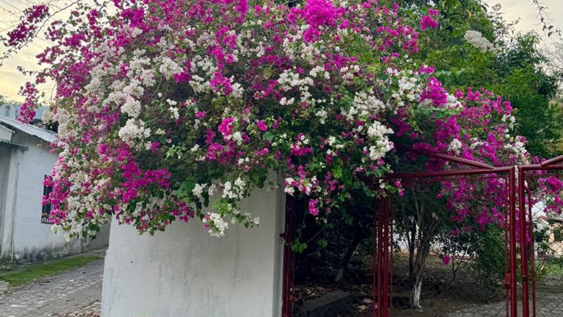 CASA EN VENTA EN ALDEA ENCINITOS, GUALAN ZACAPA - Miniatura 2