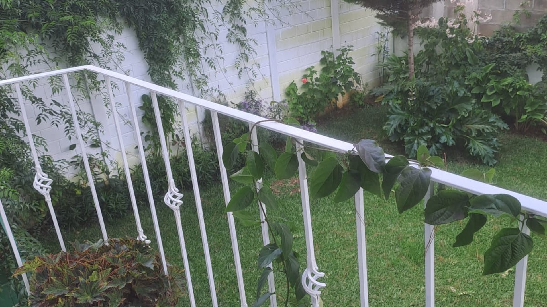 Casa en venta en Condominio Valle Real, Santiago Sacatepequez  - Miniatura 26