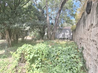 Casa de uso Comercial de renta en Antigua Guatemala - Image 8